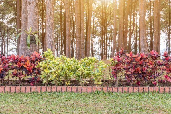Small Garden Landscaping in Stamford