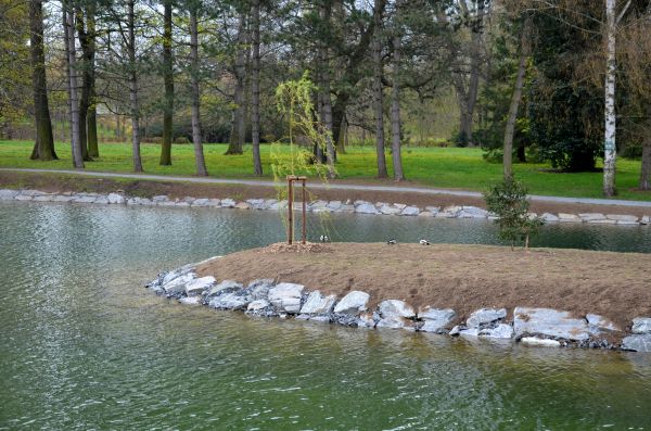 Pond Landscaping Service in Stamford