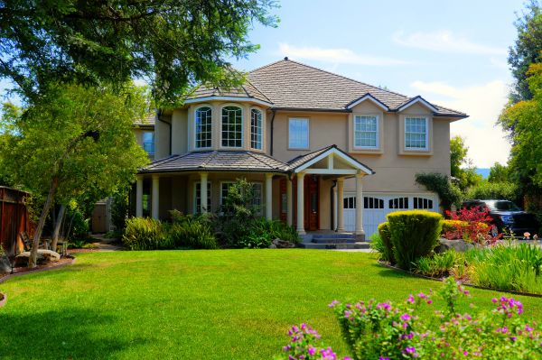 Large Yard Landscaping in Stamford