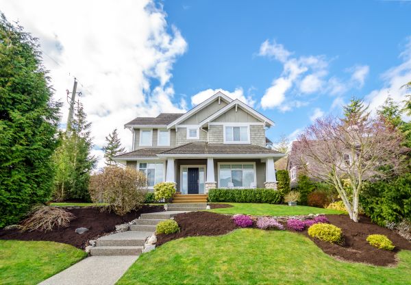 Landscaping Replacement in Stamford