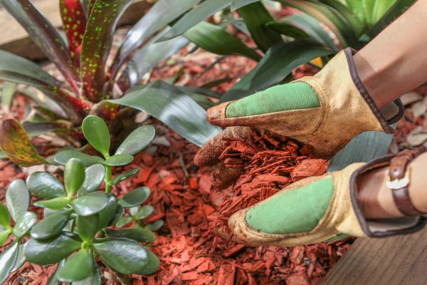 Residential Mulching in Stamford