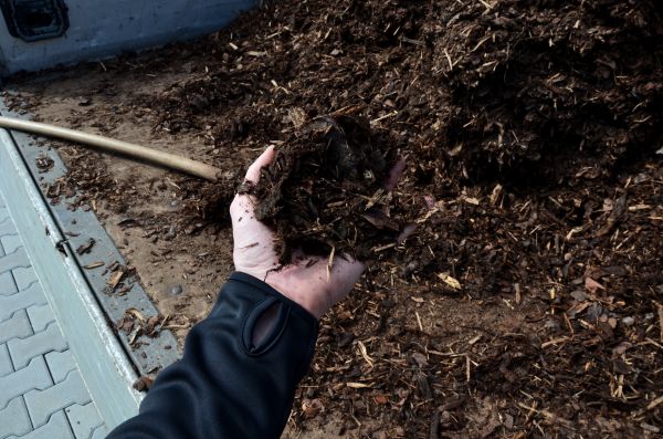 Condo Mulching in Stamford