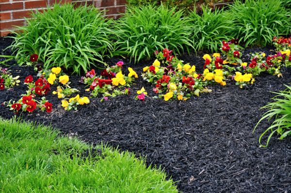 Apartment Mulching in Stamford