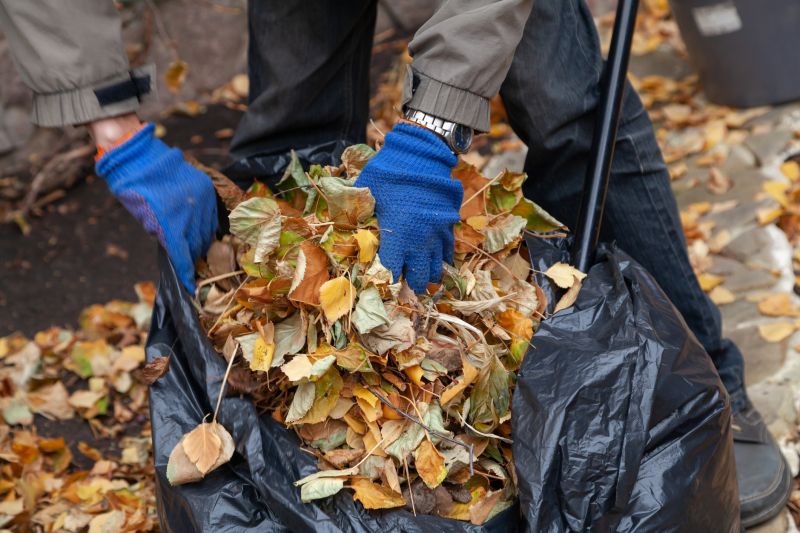 Leaf Collection Service
