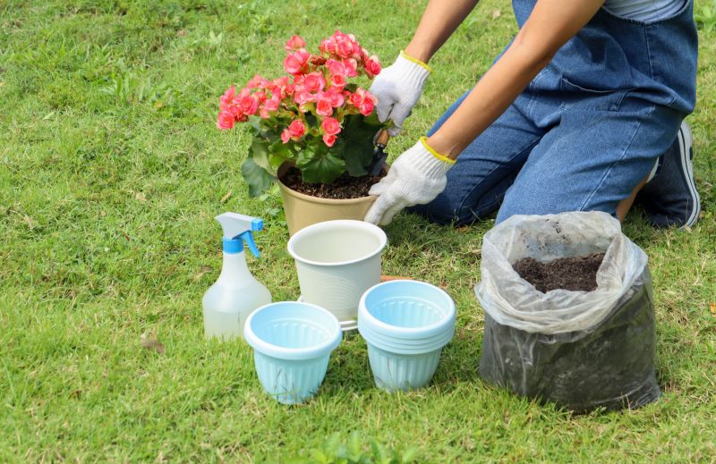 Garden Care Service