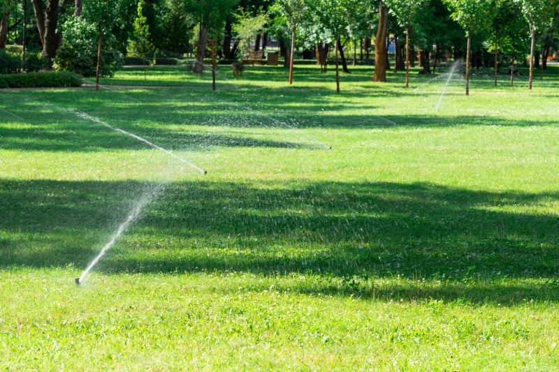 Irrigation System Experts